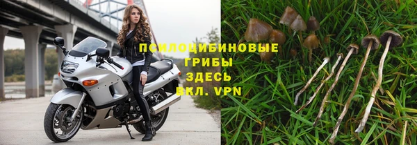 дмт Арсеньев