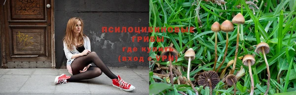 метамфетамин Аркадак