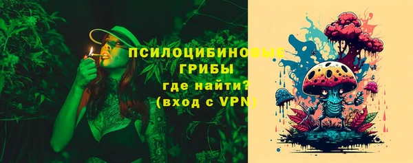дмт Арсеньев
