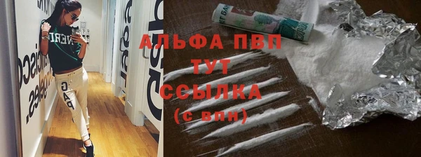 мет Алексин