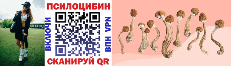 Псилоцибиновые грибы GOLDEN TEACHER  Любим 